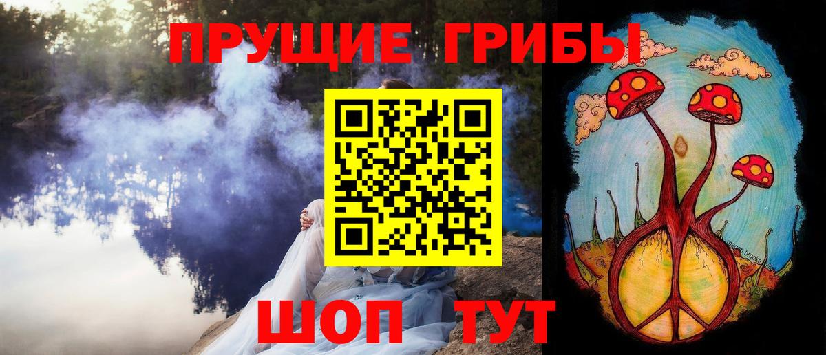 Псилоцибиновые грибы прущие грибы Александров