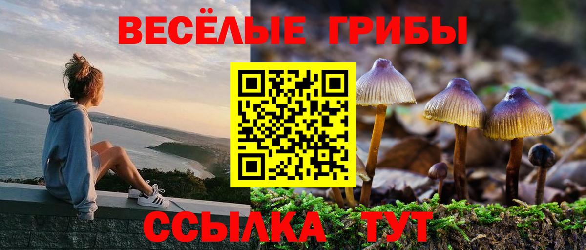 Галлюциногенные грибы мицелий  где купить   Вход с VPN  Александров  Галлюциногенные грибы Psilocybine cubensis 